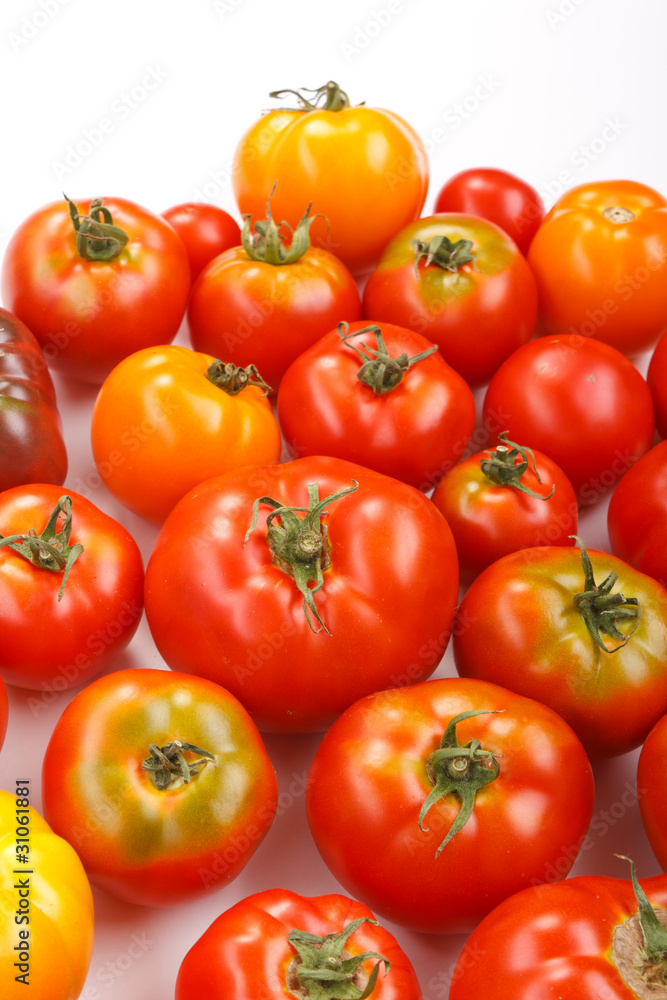 fresh tomatoes fresh tomatoes