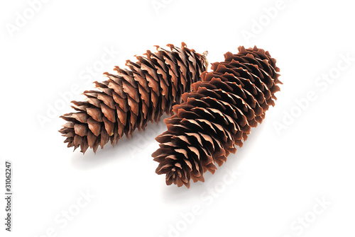 Pine cones.