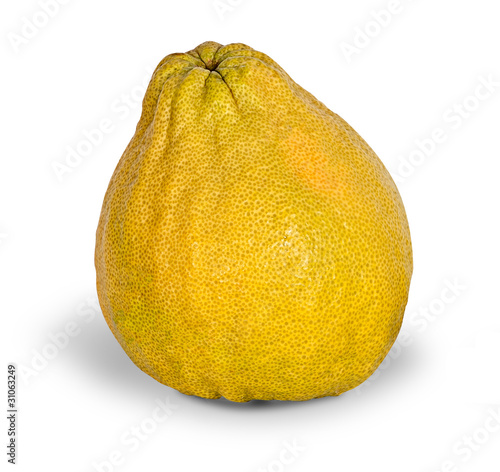 Pomelo isolated on white background photo