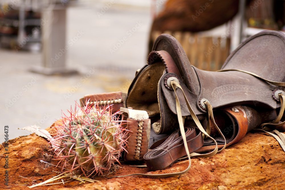 Sella Showman Pony In Feltro Con Decorazioni Dipinte A Mano: Cactus, Teschio E Girasole