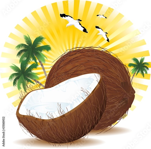 Noce di Cocco con Latte-Coconut with Milk Background-Vector