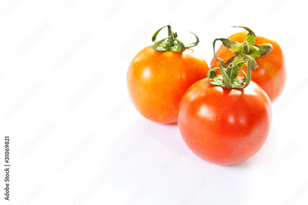 tomatoes on a white background tomatoes on a white background