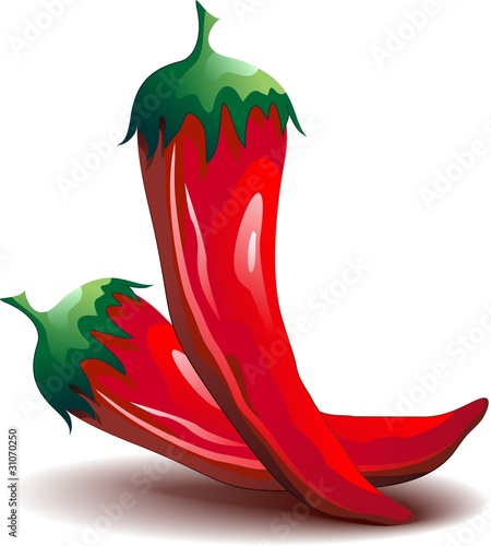 Peperoncino Rosso Piccante -Red Hot Chili Pepper-Vector photo