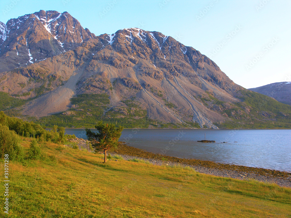 Beautiful Norway nature