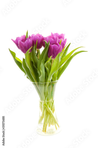 Fototapeta Naklejka Na Ścianę i Meble -  Purple Dutch tulips in vase over white background