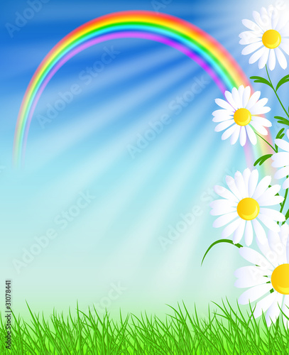 Camomiles with green grass and rainbow