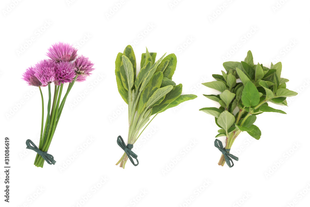 Fototapeta premium Chives, Sage and Oregano Herbs