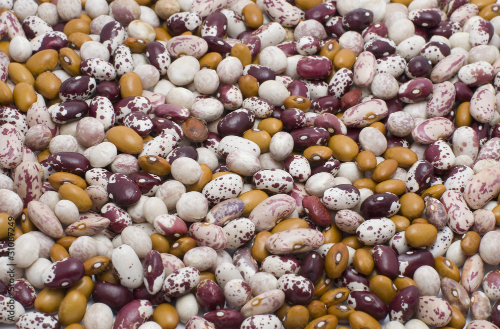 Fototapeta premium Kidney bean
