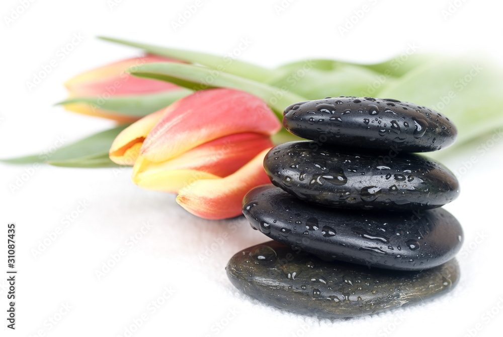 Fototapeta premium red tulips