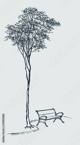 The bench in a park near a tall tree