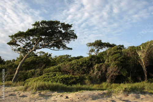 guyane française