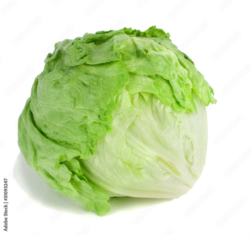 Iceberg lettuce. Iceberg lettuce.