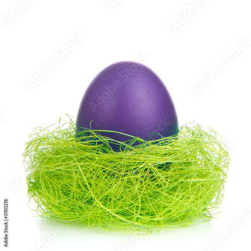 easter egg in nest