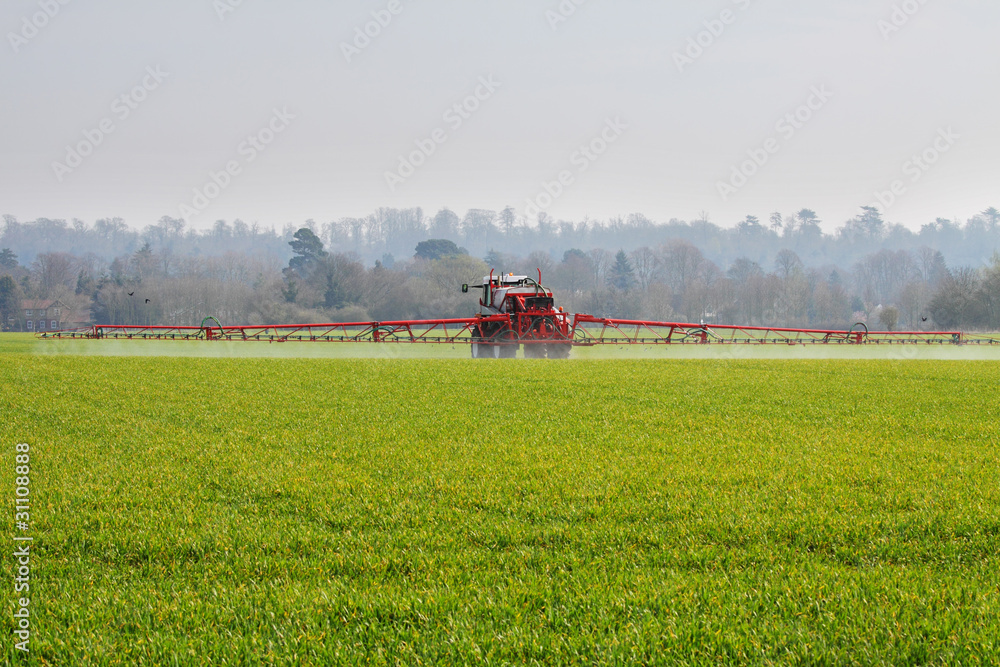 Fototapeta premium Agricultural Machine spraying crops