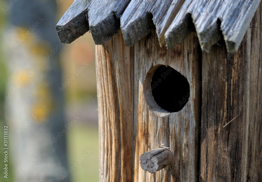 Vogelhaus Vogelhaus