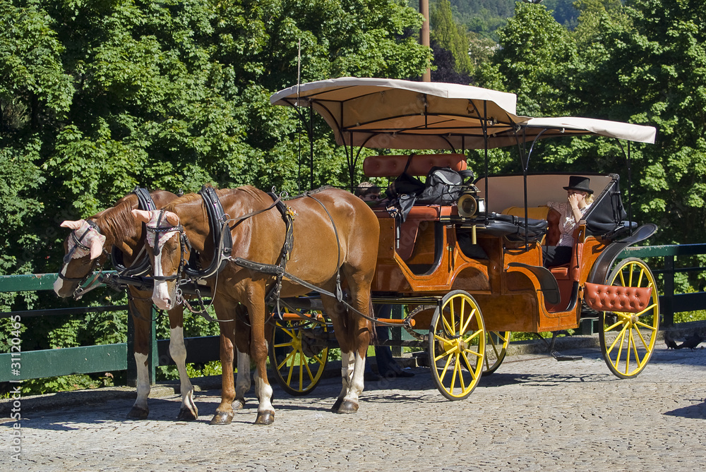 Obraz premium Pferdekutsche in Karlsbad