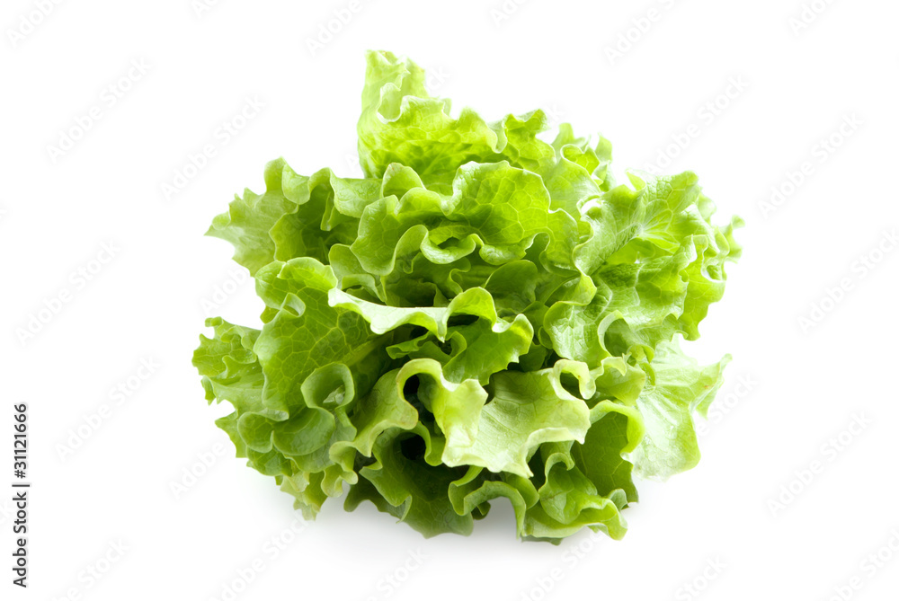 Lettuces leaves Lettuces leaves