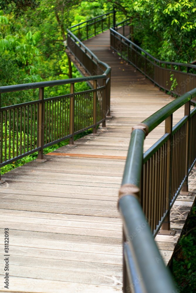 Empty memory lane elevated wooden walkway in forest