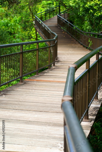 Empty memory lane elevated wooden walkway in forest © palangsi