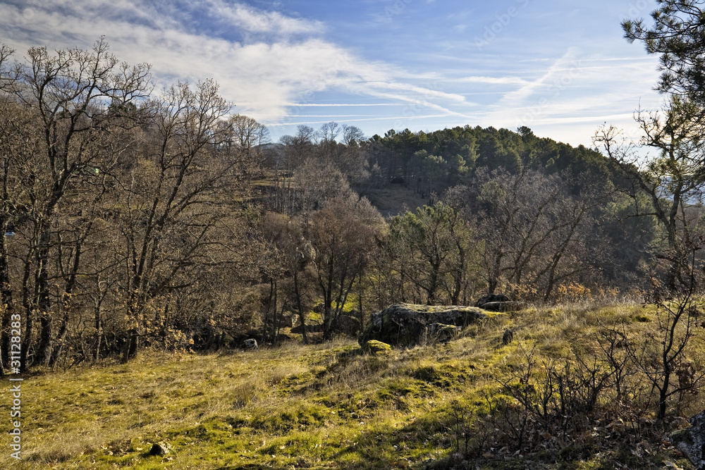 Fototapeta premium Campo en Casillas
