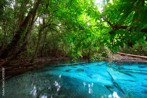 Pond with clear blue water in tropical forest