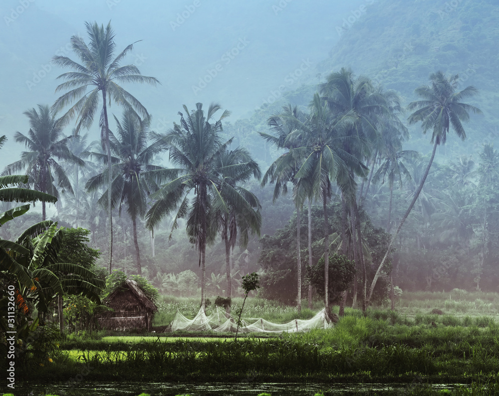 Small house with fishing net in the tropical forest near the pond