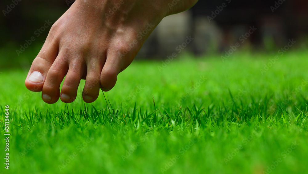 Foot Foot