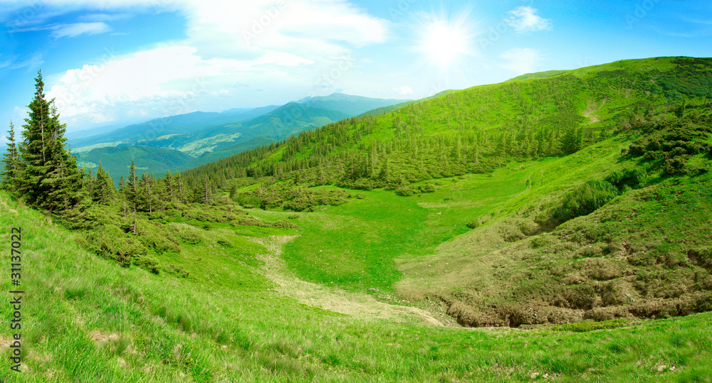 Obraz premium Fantastic green meadow in mountain