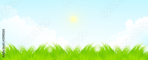 Spring grass