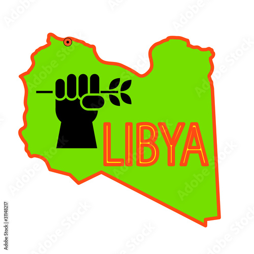 Stop military operations in Libya.