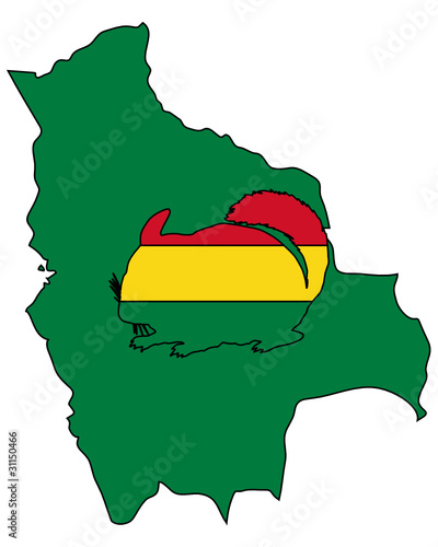 Chinchilla Bolivien