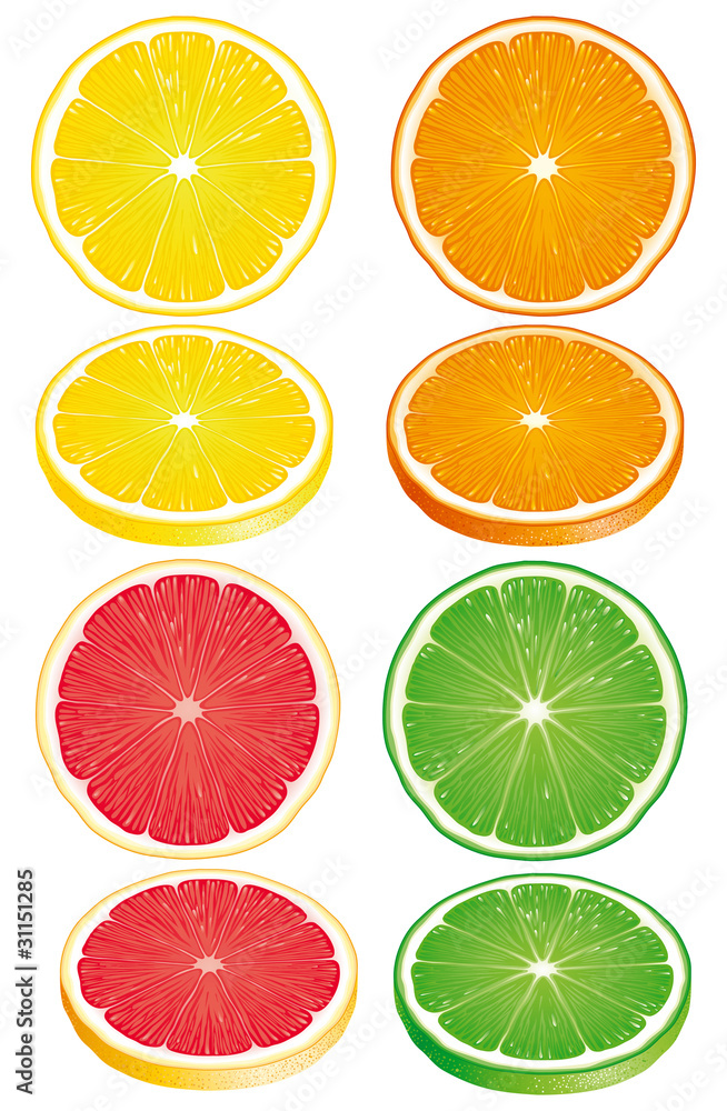 Set of Citrus fruits