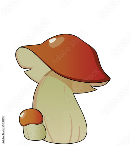 bolete