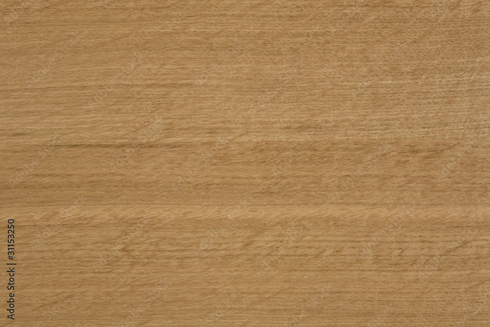holz holz