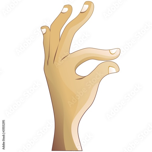 Mano-Hand-Main-Vector