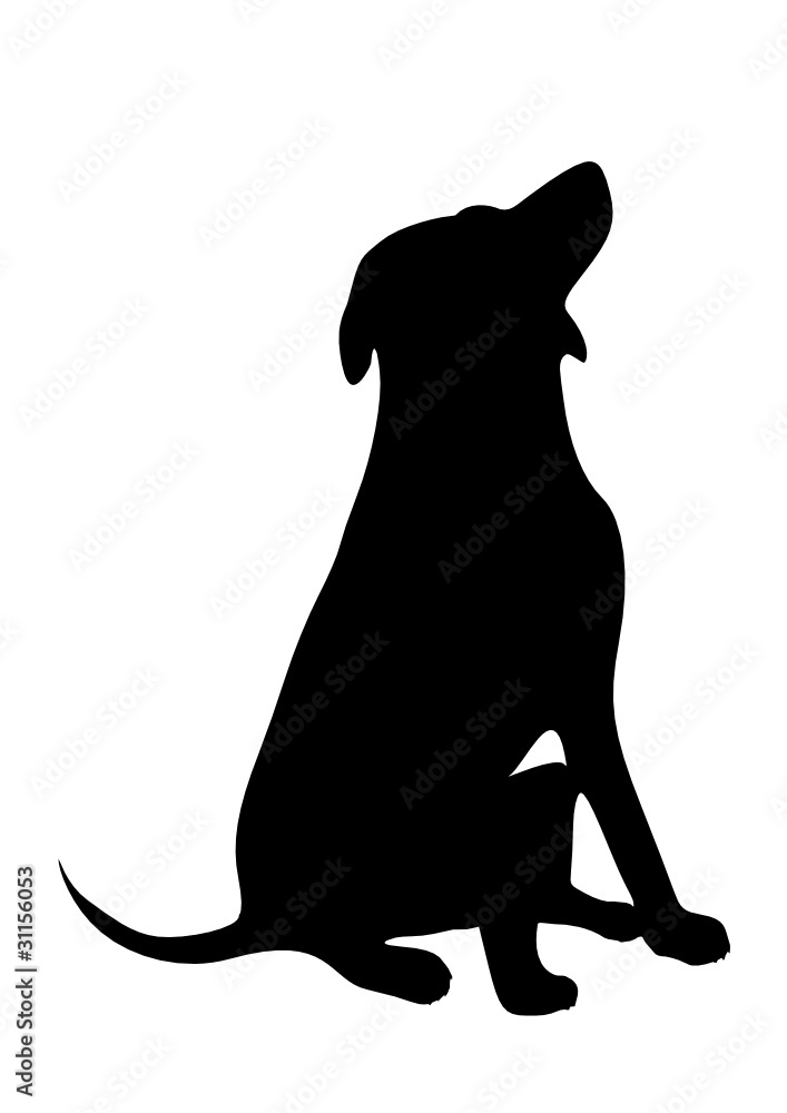 dog on a white background.vector image.