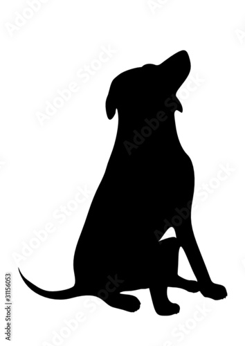 dog on a white background.vector image.