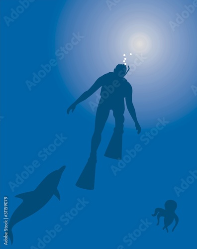 vector diver and dolphin