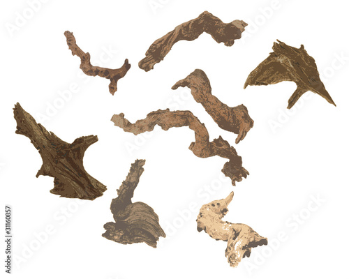 Gnarled pieces of bogwood and logs © philhol