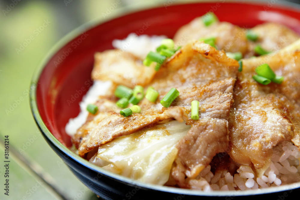 pork with rice pork with rice