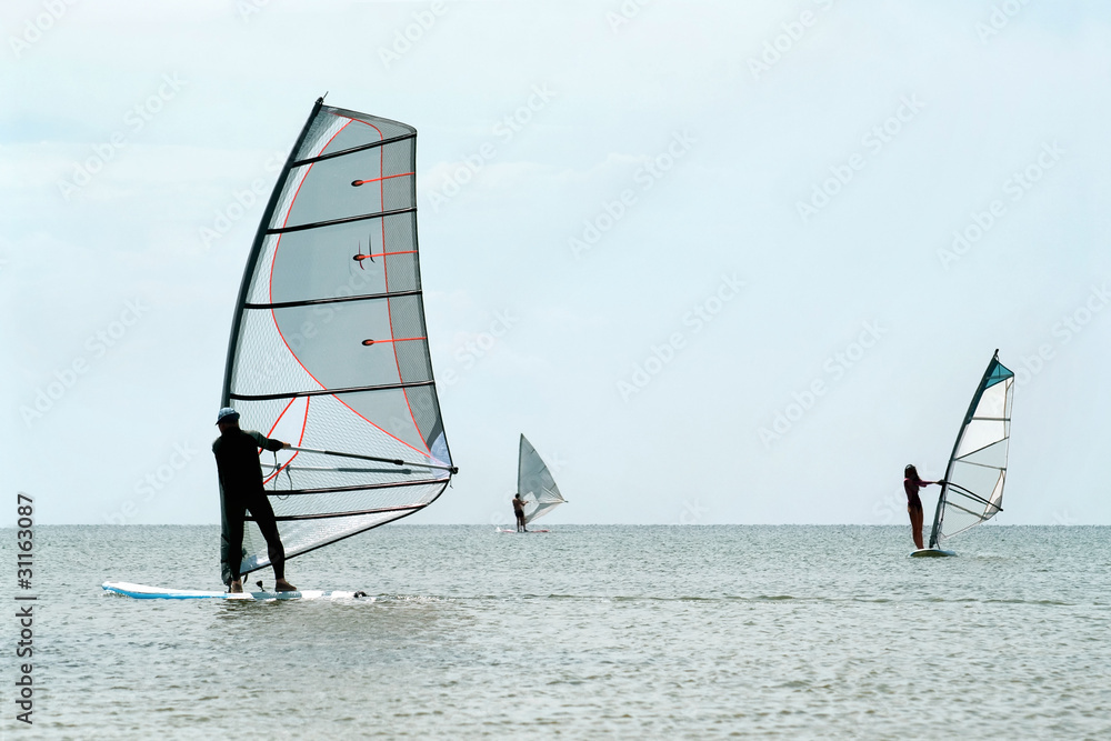 Silhouettes of a three windsurfers Silhouettes of a three windsurfers