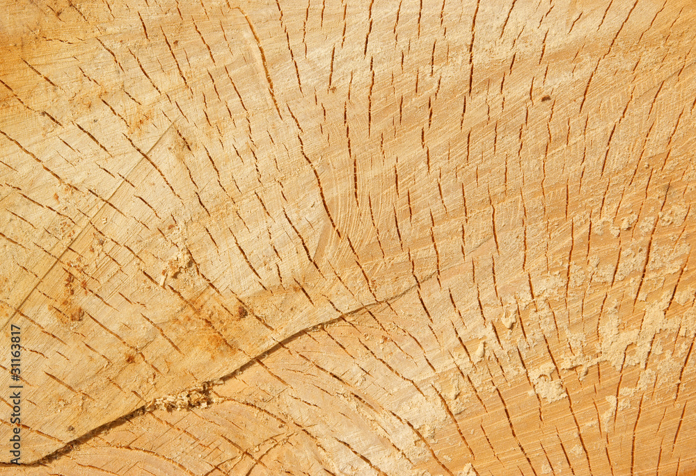 Fototapeta premium Stare tekstury drewna z bliska