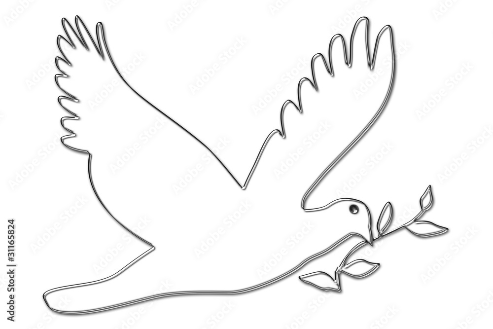 Naklejka premium Colomba e Ulivo