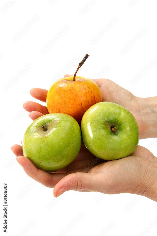 Beautiful woman's hands holding apple Beautiful woman's hands holding apple