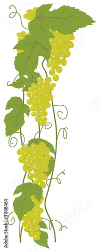 Green Grapes