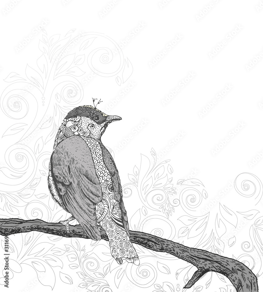 Fototapeta premium Hand Drawn Bird on Branch.
