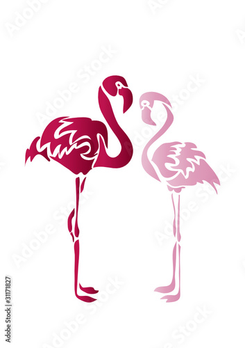 Фламинго/ flamingo