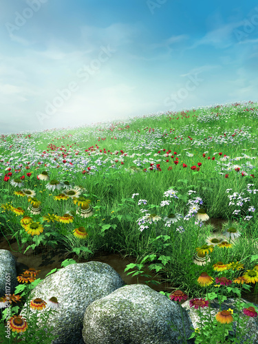 Fototapeta Wiosenna sceneria z kwiatami i skałami
