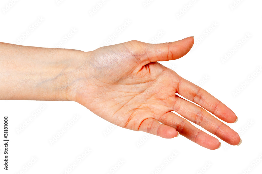 woman's hand woman's hand