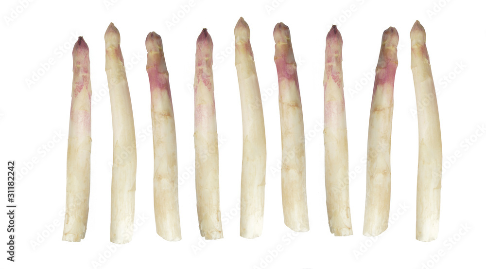 Violetter Blechspargel Violetter Blechspargel